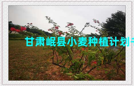 甘肃岷县小麦种植计划书