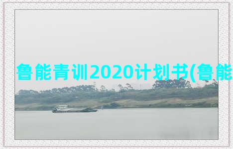 鲁能青训2020计划书(鲁能青训微博)